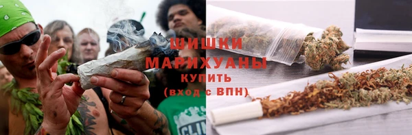 спиды Богородск