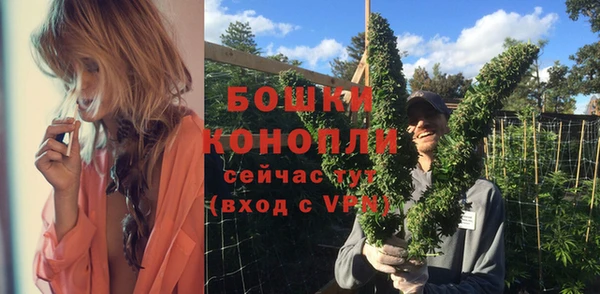 apvp Богородицк