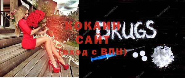 apvp Богородицк